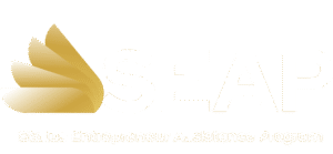 Status entrepreneur assistance program logo